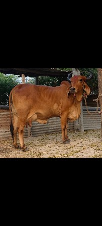 थंबनेल 2