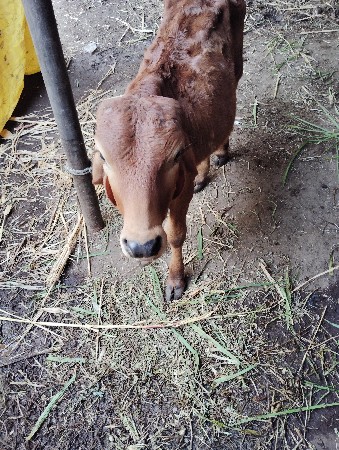 थंबनेल 3