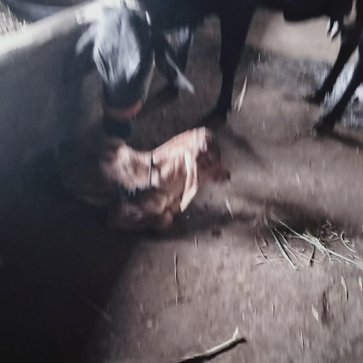 थंबनेल 3