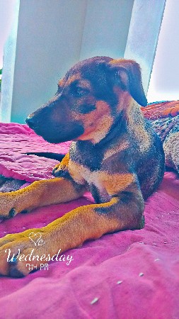 थंबनेल 3