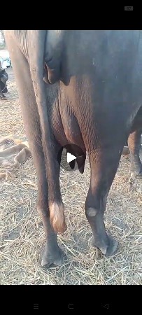 थंबनेल 2