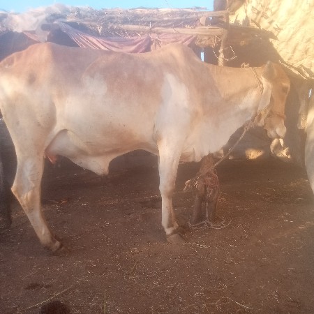 थंबनेल 2