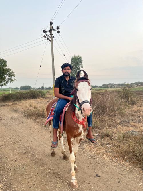 વેચવાની