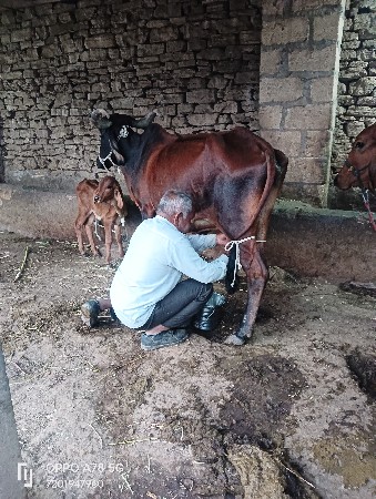 थंबनेल 5