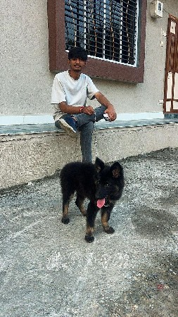 થંબનેલ 3