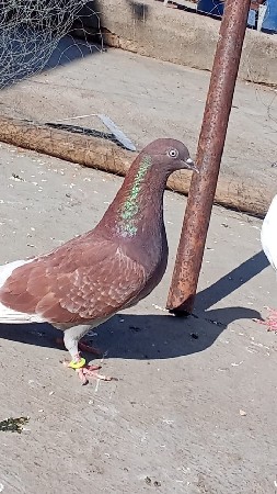 थंबनेल 2