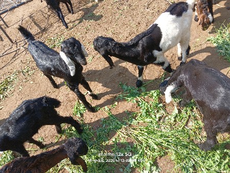 थंबनेल 2