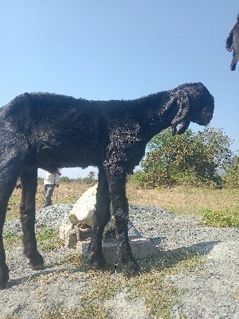 थंबनेल 2