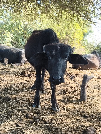 થંબનેલ 3