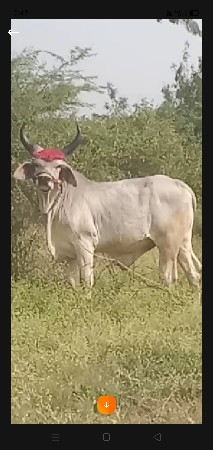 थंबनेल 3