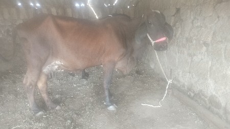 थंबनेल 2