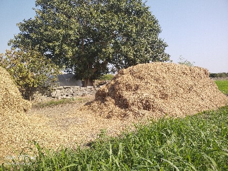 બી ટી 32 નો ભૂકો છે