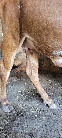 थंबनेल 2