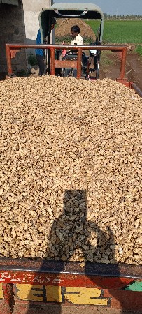 જે વીસ નમંર કોરી માંડવ