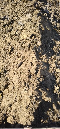 છાણીયું ખાતર