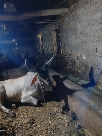 थंबनेल 2