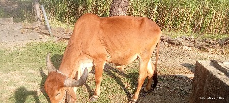 थंबनेल 3