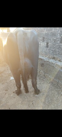 थंबनेल 2