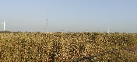 थंबनेल 2