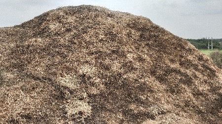 20 vigha no koro bhuko