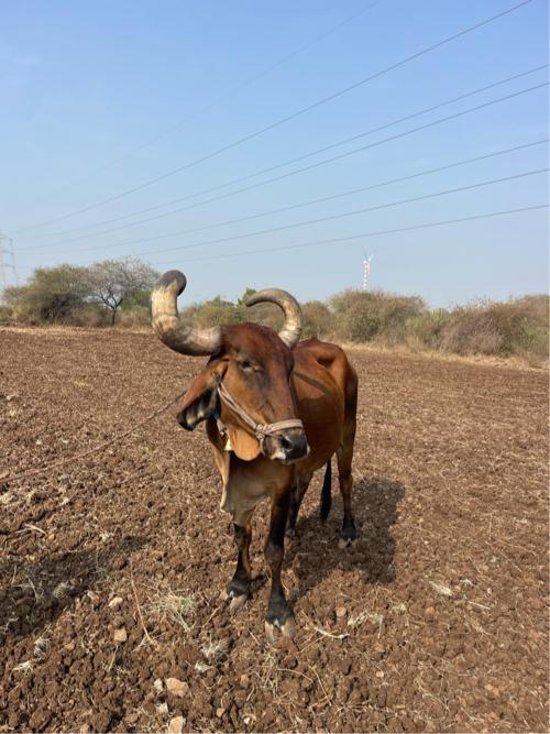 थंबनेल 3