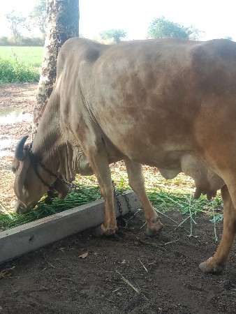 थंबनेल 2