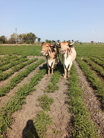 ર
અશ્વિનભાઈ પટેલ