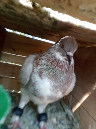 थंबनेल 2