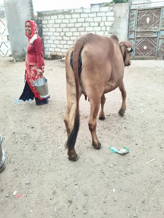 थंबनेल 3