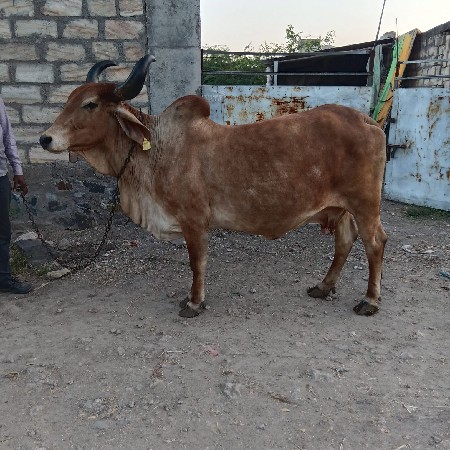 थंबनेल 3