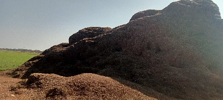 थंबनेल 3