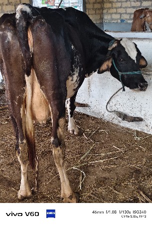 थंबनेल 1