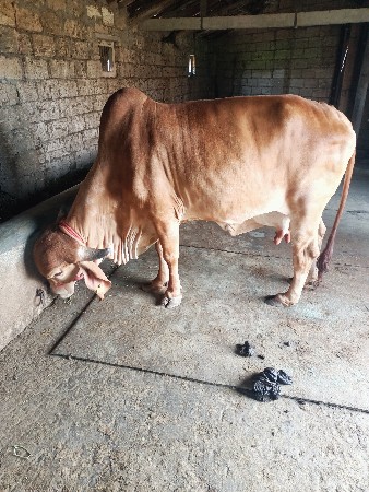 થંબનેલ 2