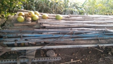 ગાઙૂ /ઓરણી /સાતી બધુંય ભૈગૂ