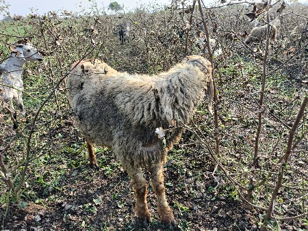 थंबनेल 2