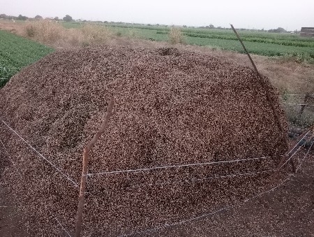 ભુકો વેચવાનો. છે‌.