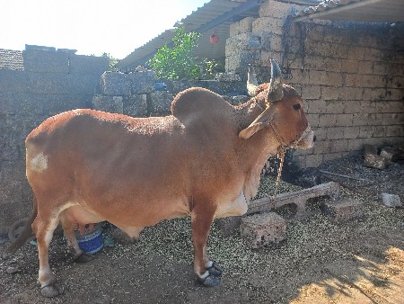 થંબનેલ 3