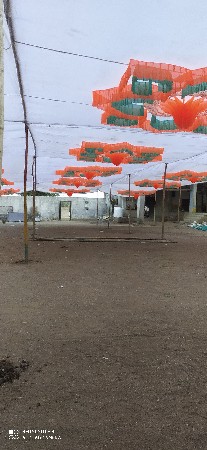 મંડપ સર્વિસ