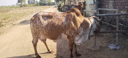 थंबनेल 2