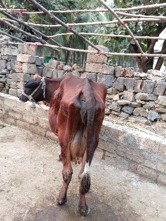 થંબનેલ 3