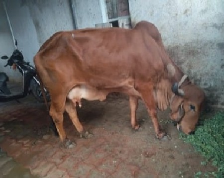 थंबनेल 2