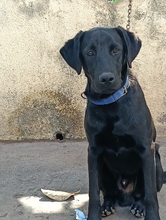 થંબનેલ 2