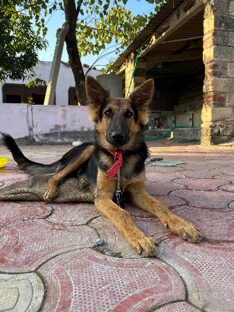 थंबनेल 2