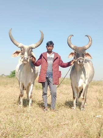 थंबनेल 3