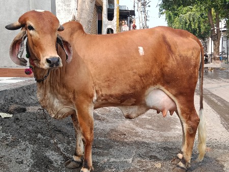 थंबनेल 2