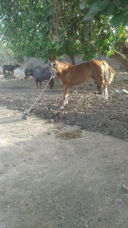 थंबनेल 2