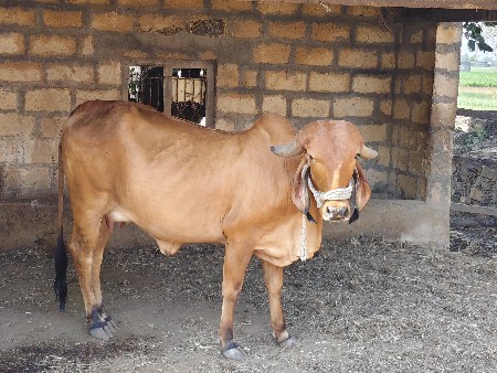 थंबनेल 2