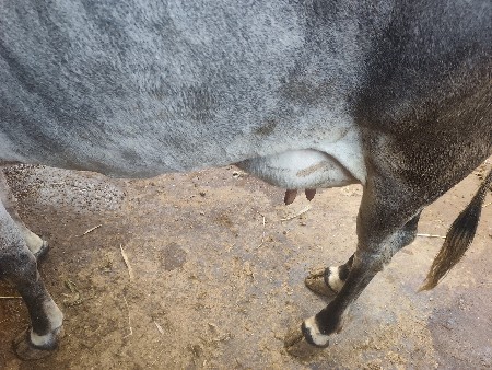 थंबनेल 2