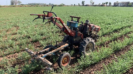 थंबनेल 3