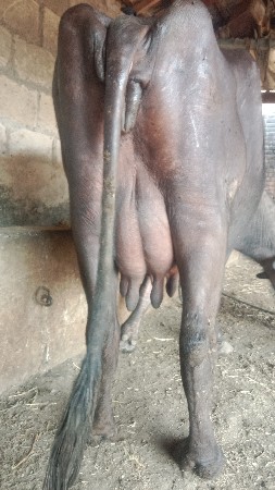 थंबनेल 2